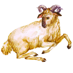 Aries