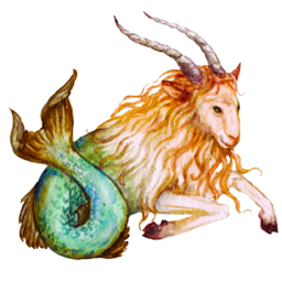 Capricorn