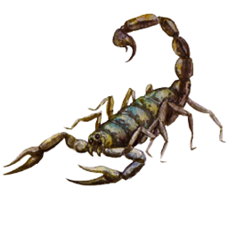 Scorpio